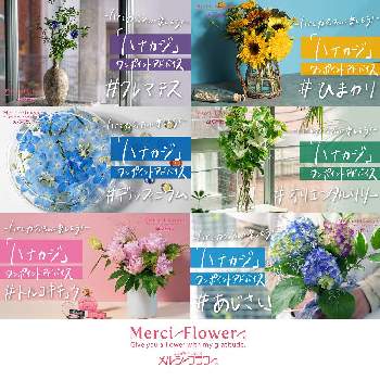 こころを花にかえての画像 by メルシーフラワーさん | スーパーマーケットの花とスーパーの花屋さんとスーパーの切花とハナカジとメルシーフラワーとフラワーアレンジメントと花のある暮らしとyoutubeチャンネルとこころを花にかえて